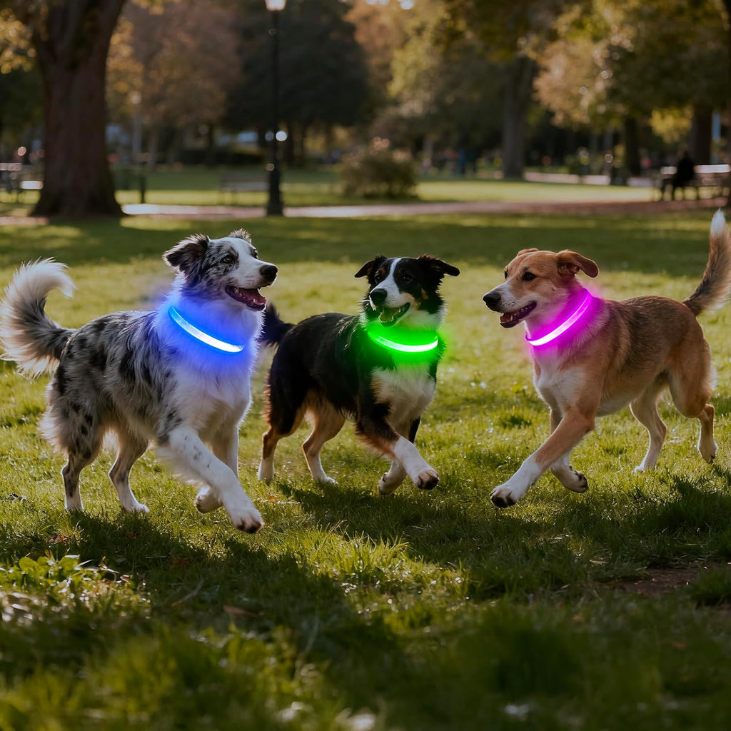 LED Dog Collar - Adjustable, USB Rechargeable, Super Bright Safety Light Glowing Collar for Small Dogs (Green)