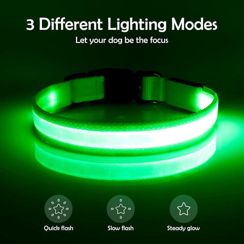 LED Dog Collar - Adjustable, USB Rechargeable, Super Bright Safety Light Glowing Collar for Small Dogs (Green)