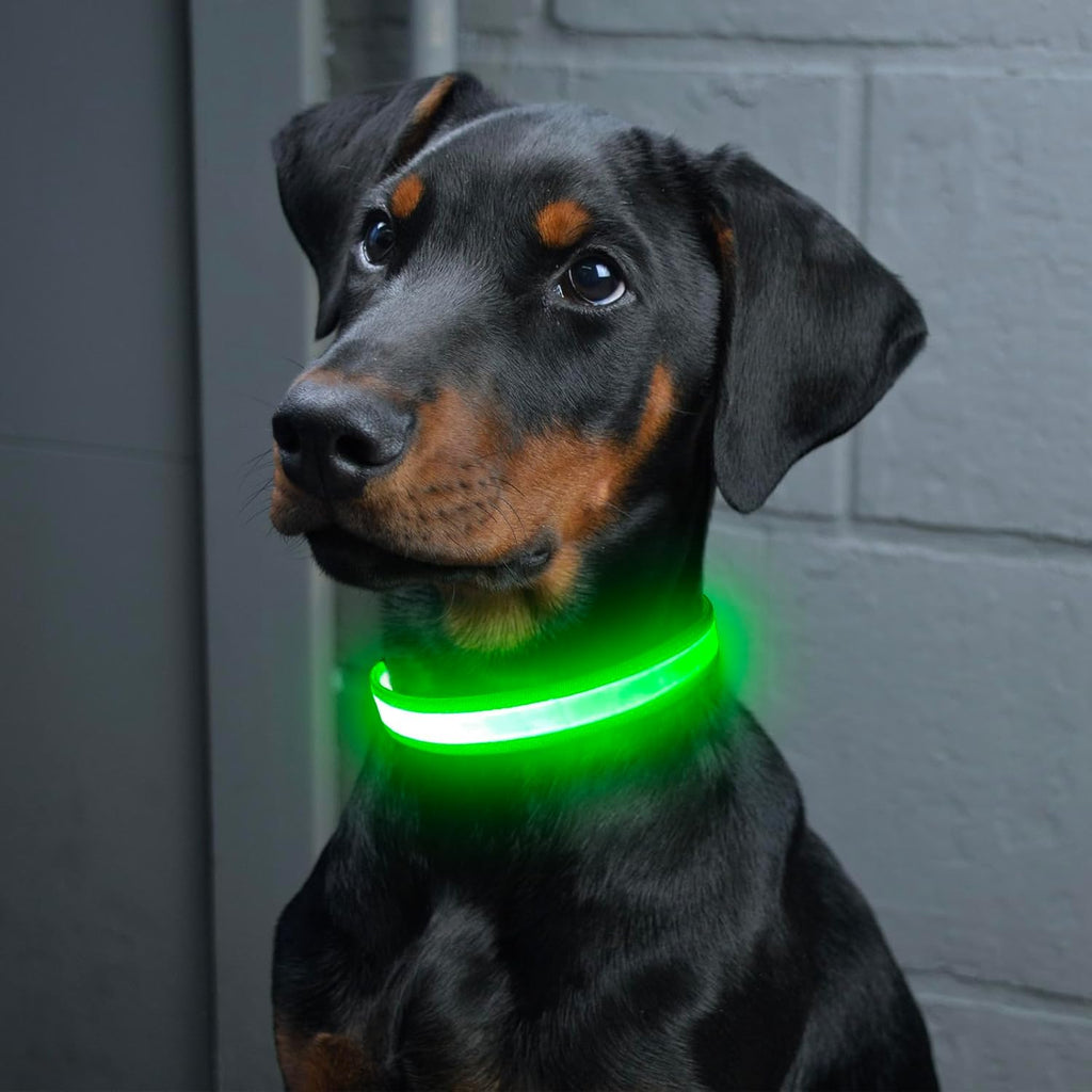 LED Dog Collar - Adjustable, USB Rechargeable, Super Bright Safety Light Glowing Collar for Small Dogs (Green)